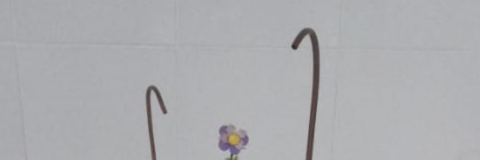Imagem Ilustrativa